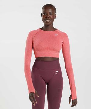 Najfatalniejszy Damskie Gymshark Vital Seamless 2.0 Crop Czerwone | DZHR83179