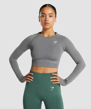 Najfatalniejszy Damskie Gymshark Vital Seamless 2.0 Long Sleeve Crop Szare | PSOE57610