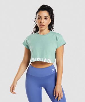 Podkoszulki Damskie Gymshark Fraction Crop Niebieskie | FNVT65490